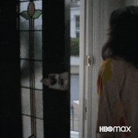 What If Lol GIF by HBO Max