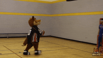 Harlem Globetrotters Fox GIF by Fayetteville Marksmen
