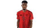 Fc Bayern Cheering Sticker by Bundesliga