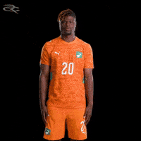 Fifa World Cup Elephants GIF by Respective