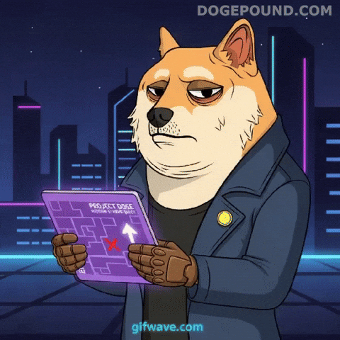 Confused Shiba Inu GIF by Doge Pound
