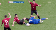 euro 2016 GIF by Sporza