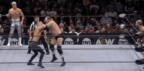 Cody Rhodes Bunny GIF by All Elite Wrestling on TNT