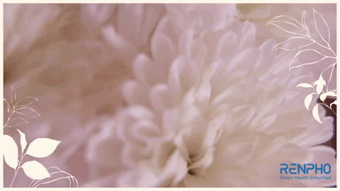 Holy Week Fitness GIF by RENPHO