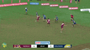 Bulls Flick GIF by Touch Football Australia