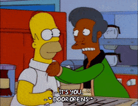 homer simpson apu's mother GIF