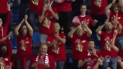 CEVolleyball giphygifmaker cheers volleyball applause GIF