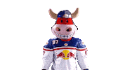 Rob Ice Hockey Sticker by EC Red Bull Salzburg