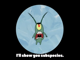 season 4 GIF by SpongeBob SquarePants