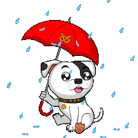 Staffordshire Bull Terrier Staffy Sticker by SBT1935