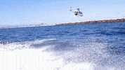 screaming in trouble GIF by RJFilmSchool