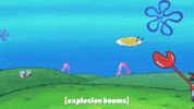 season 9 GIF by SpongeBob SquarePants