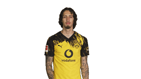 Borussia Dortmund Silva Sticker by Bundesliga