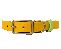 Dog Collar Sticker by Paws Of Kow