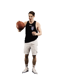 Sport Basketball Sticker by Ruhr Games