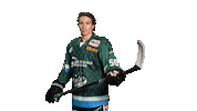 SteelersBietigheim eishockey steelers del scb Sticker
