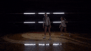 MSUMDragons dragons msum msum dragons msumoorhead GIF