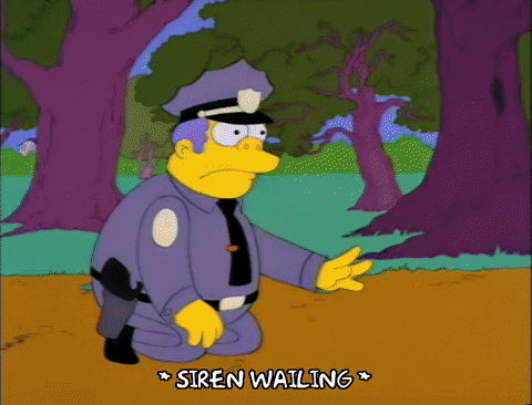 homer simpson GIF