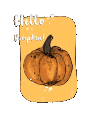 Pumpkin Spice Latte Hello Sticker