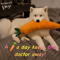 Health Carrot GIF