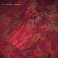 Black Hole Loop GIF by La Guarimba Film Festival