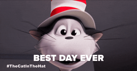 Bill Hader Cat GIF by Warner Bros. Pictures