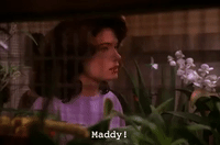 season 2 GIF by Twin Peaks on Showtime