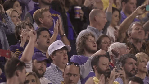 College Sports Sport GIF by LSU Tigers