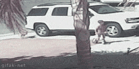 GIF by Demic