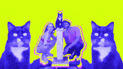 Fun Geeking GIF by MIA GLADSTONE