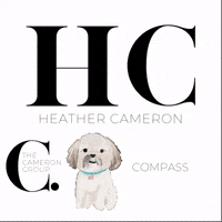 thecamerongroup  GIF
