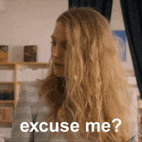 Excuse Me What GIF by Blake Lively Fan