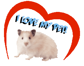 Guinea Pig Love Sticker