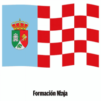 Castilla Y Leon Flag GIF by Formación Ninja