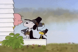 charlie brown thanksgiving GIF by Peanuts