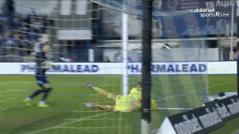 Goleador10 giphyupload GIF