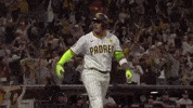 Celebrate Home Run GIF by MLB