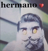 Folk Hermano GIF