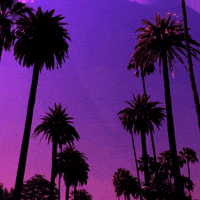 Look Up Road Trip GIF by dnewmie