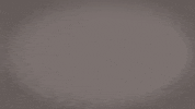 Calstatela GIF by Cal State LA Golden Eagles