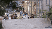 sadeem GIF by OfficialSadeem