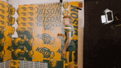 Ndsu Football GIF by NDSU Athletics