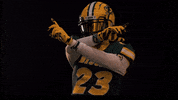 Bison Price GIF by NDSU Athletics