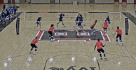 Bic GIF by Brown Volleyball