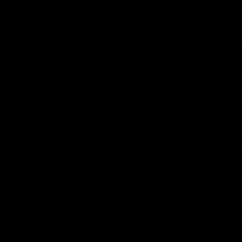 GIF by Insomnio Discos