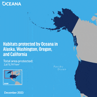 GIF by Oceana