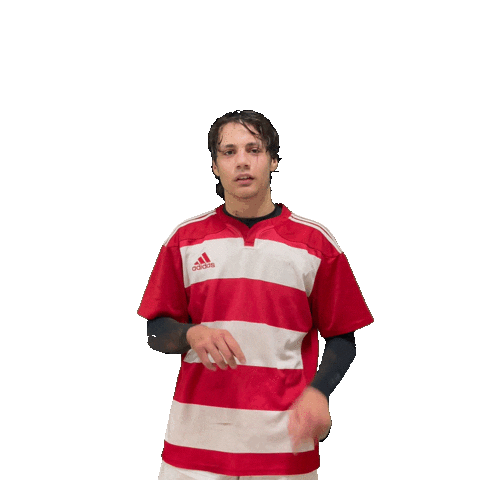 Try Meta Sticker by RIMINI RUGBY