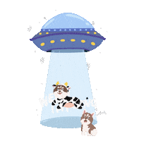 Lucky 13 Dog Sticker