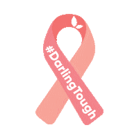 DarlingCitrus pink orange race lemon Sticker