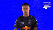 Red Bull Sr GIF by Oracle Red Bull Racing